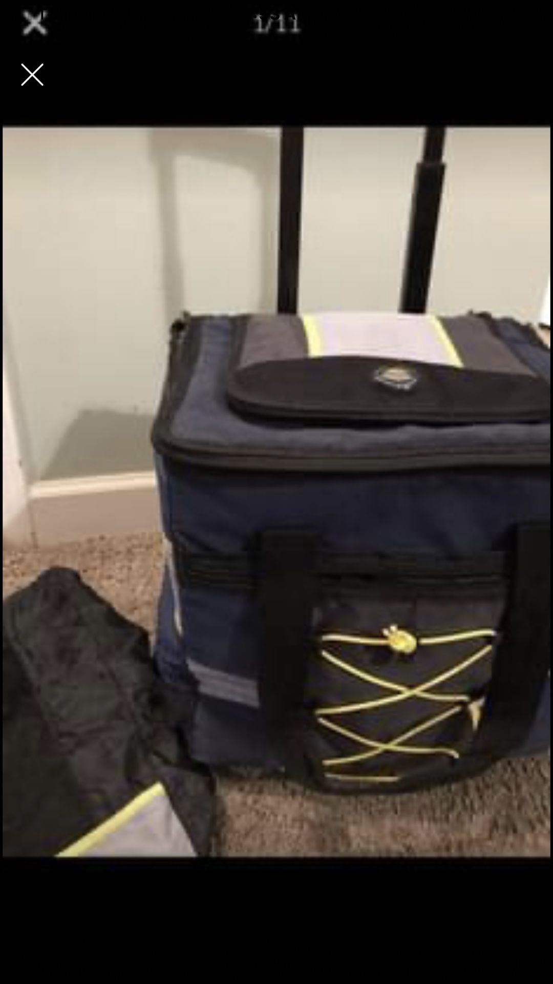 CaAlifornia innovations ice bag