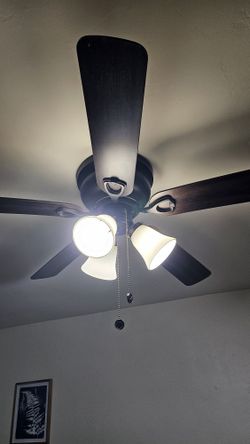 Brown Cieling Fan (2 Available)