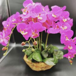 Artificial Orchids With Wood Vase