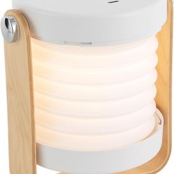 Portable Folding Light