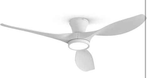 TALOYA 52 inch Ceiling Fans with Lights Remote Control, Modern Low Profile Ceiling Fan with Quiet Reversible DC Motor for Bedroom Living Room and Pati