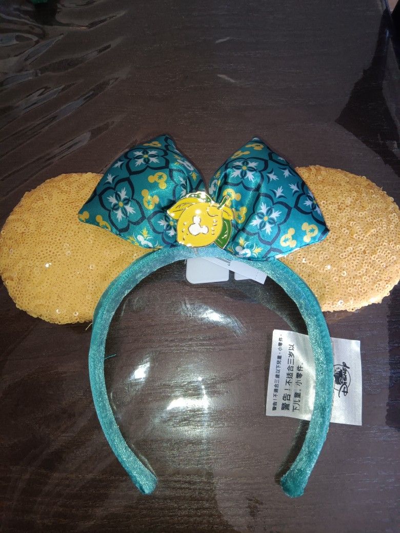 Disneyland Headband
