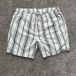 Goodfellow Men’s Medium Blue and White Striped Casual Shorts