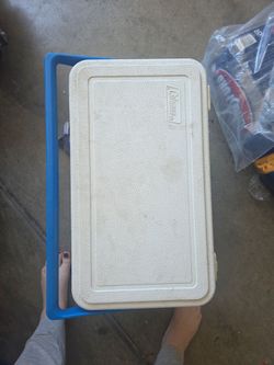 Small ice chest