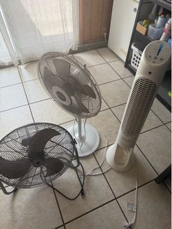 3 fans