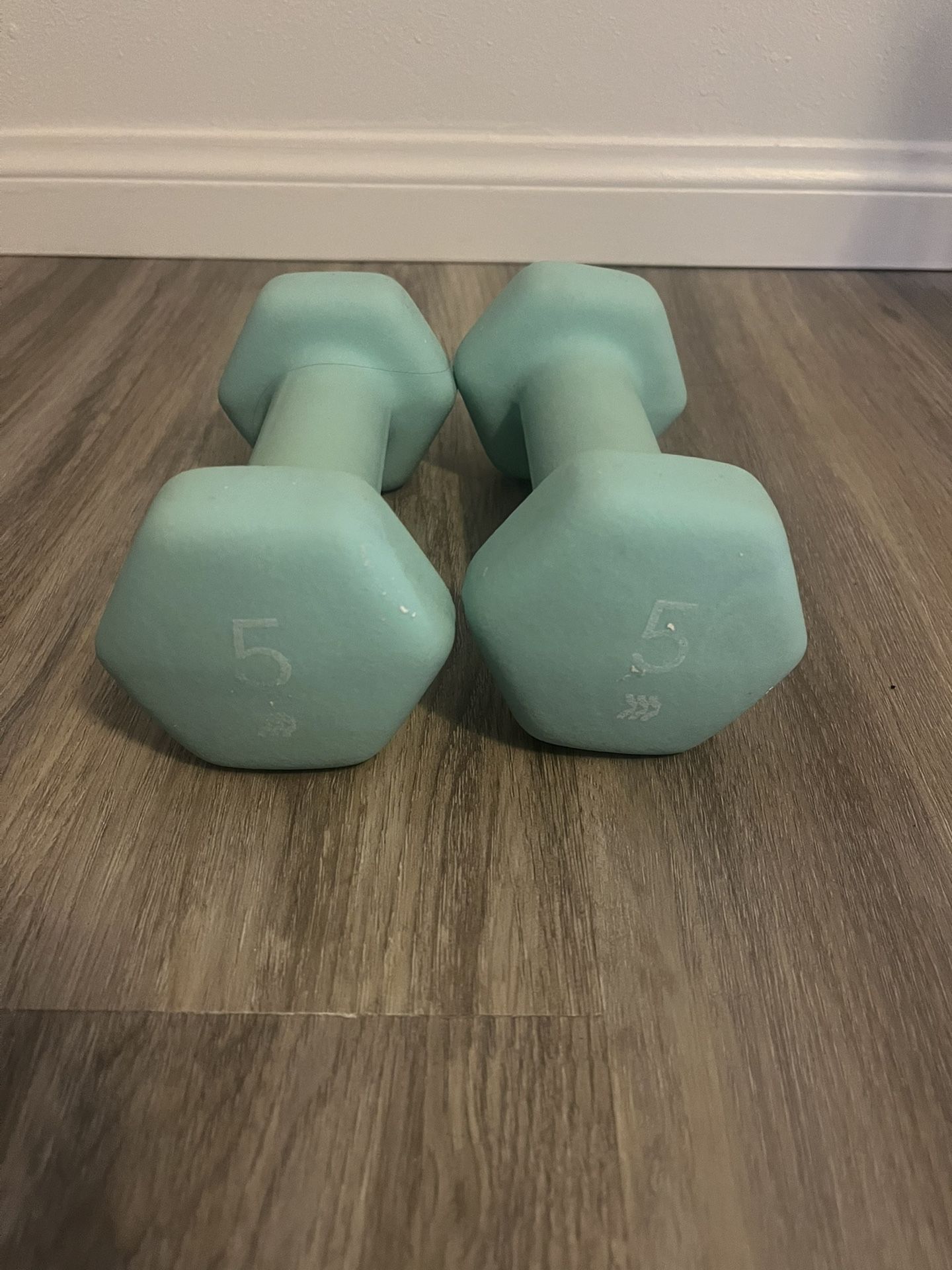 5 Lb Dumbbells