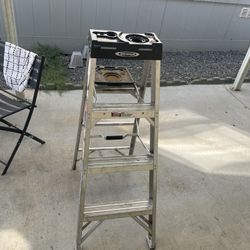 Aluminum Werner 4 Ft Ladder 