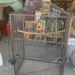 Giant Bird Cage