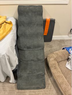 Large tall dog steps
