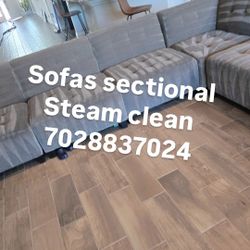 Couches Carpet Steam