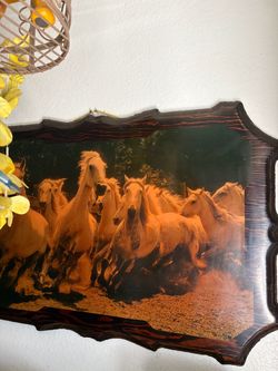 Horses $50