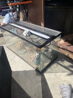 Reptil tank