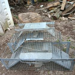 Live Traps