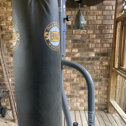 Everlast Punching Bag, Stand, And Speed Bag