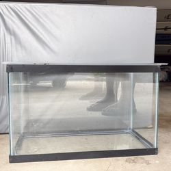 10 Gallon Fish Tank