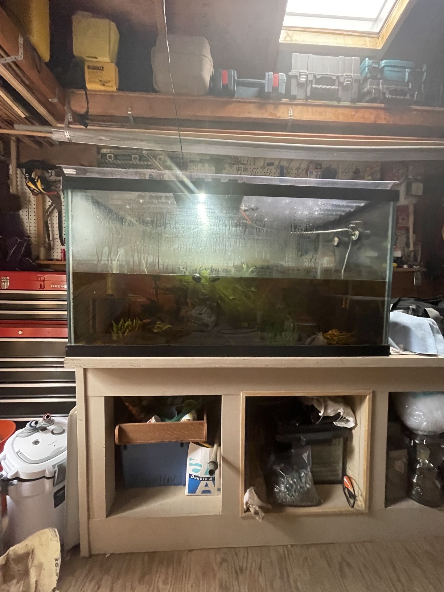 125 gallon fish tank/terrarium/reptile enclosure