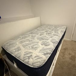 Twin Sweet Plush Mattress