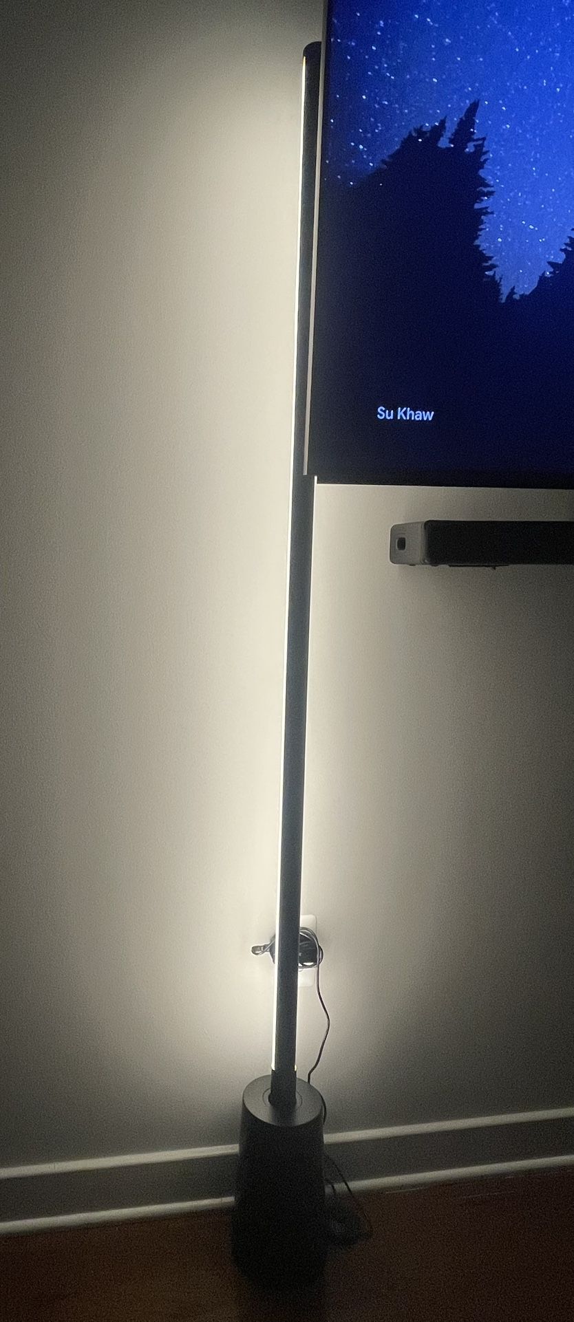 Tall LED Living Room Light