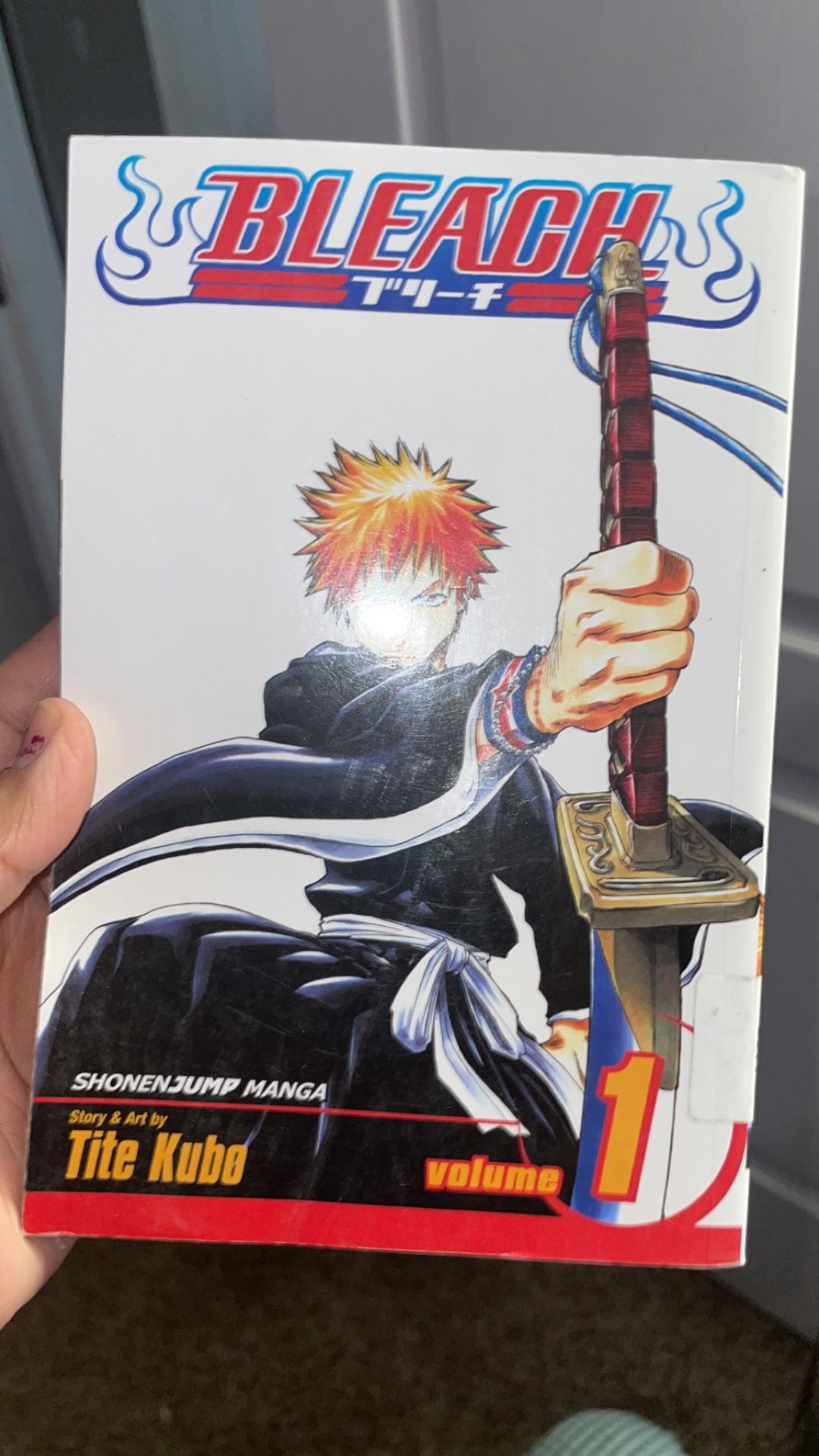 Bleach, Vol. 1 (Book #1 in the Bleach Series) by Tite Kubo