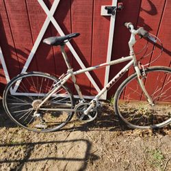 Trek 700 Bike