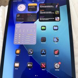 iPad Pro M4 11 Inch 256 GB Wifi 