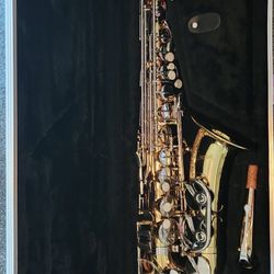 Giardinelli GAS-300 Alto Saxophone