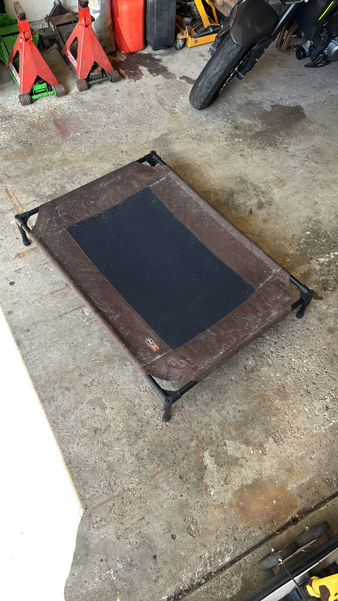 Raised Dog Bed