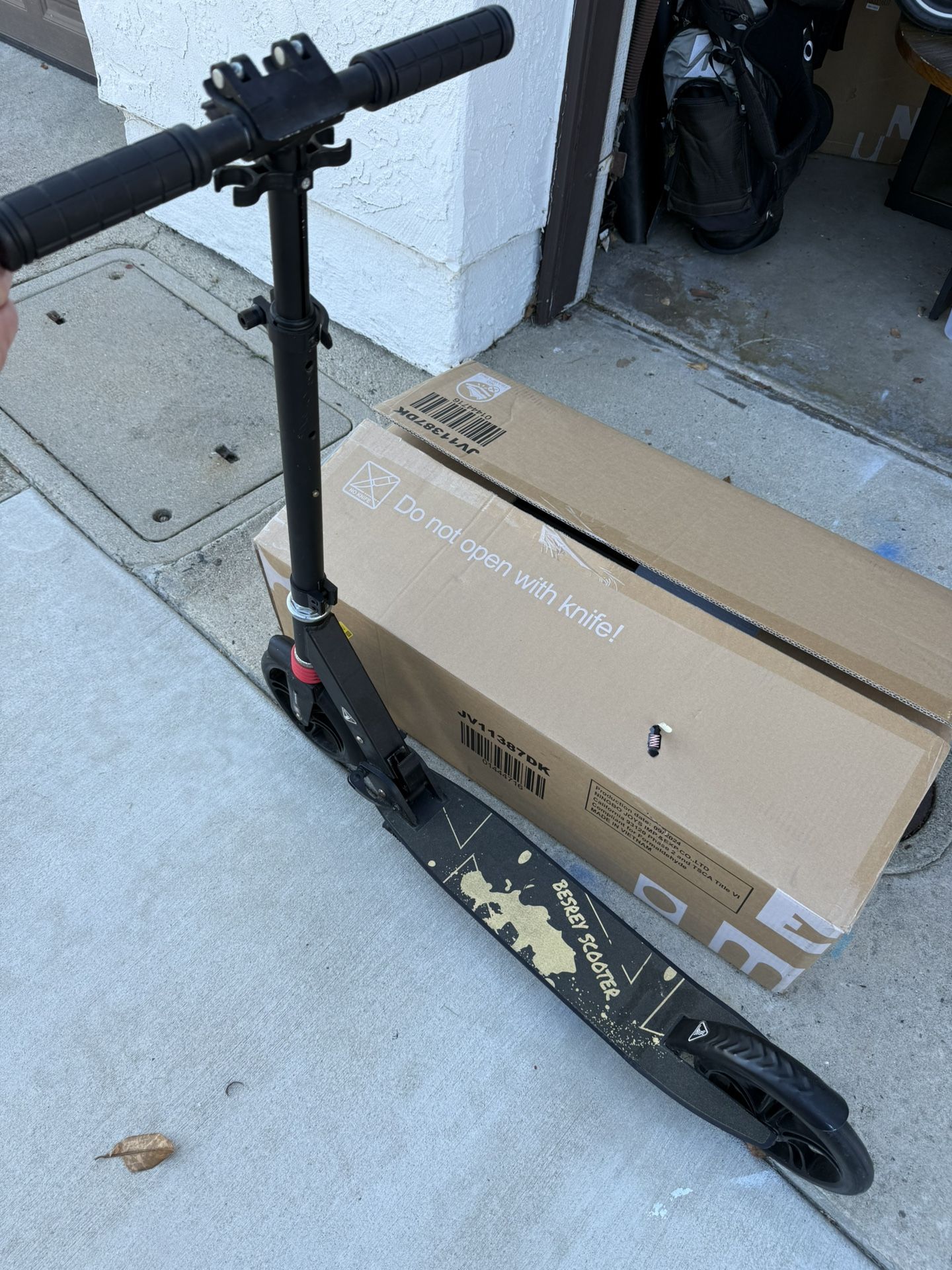 Adult Scooter