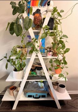 Book shelf/plant stand