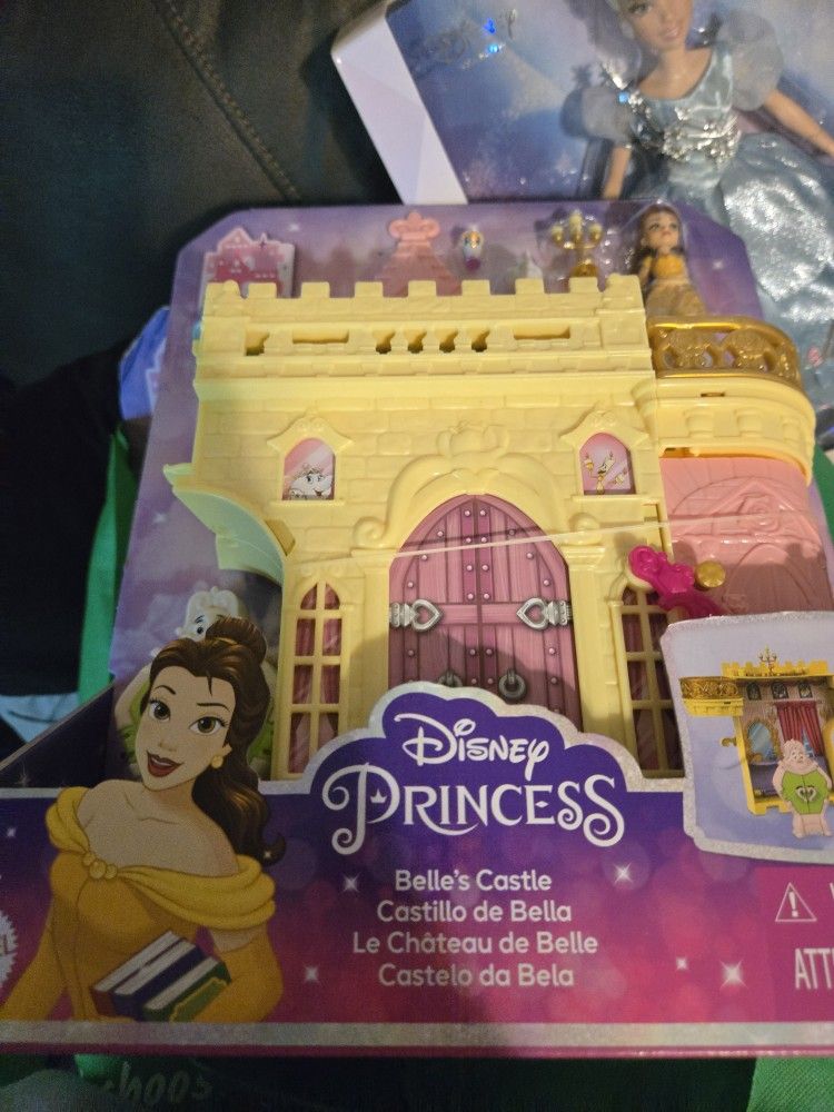 Disney castles Princesses