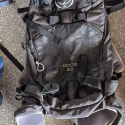 Osprey Kode 22 Snow Pack