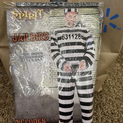 Prisoner Adult Costume 