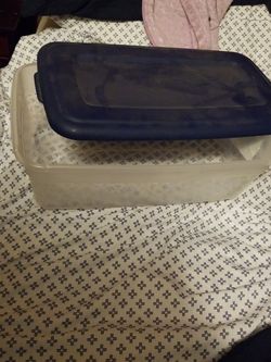 38 Standard Size, 8 Boot Size Plastic Shoe Boxes.