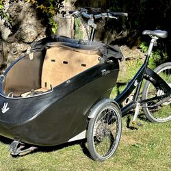 Triobike 3-wheeled cargo e-bike