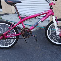 Girl's Schwinn Bike