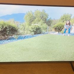 “55” Samsung TV