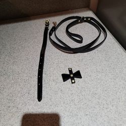 Dog Leash.  Collar And Bow.   Brand:  Frenchie