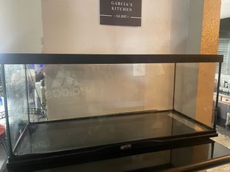 Reptile Tank