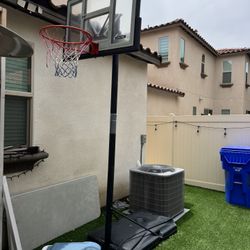 Lifetime Basketball Court