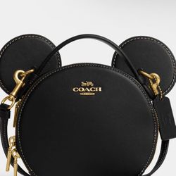 Coach X Disney Purse