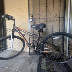 Mongoose Mountain Bike 