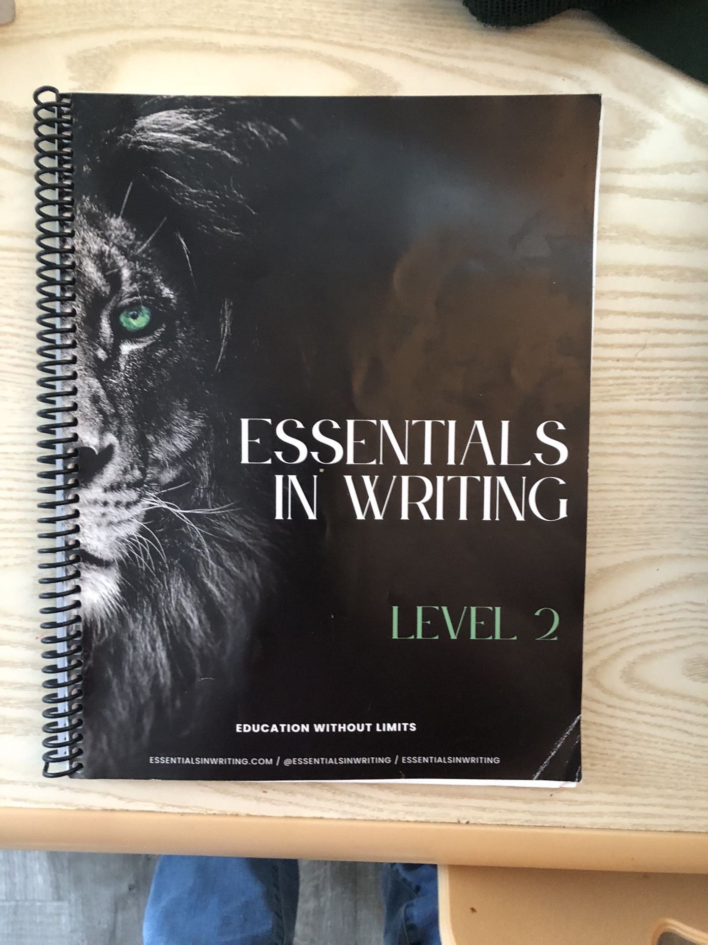 Essentials In Writing Book 