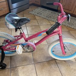 Bike 16”