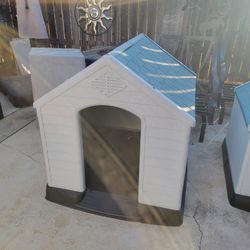 Dog House 