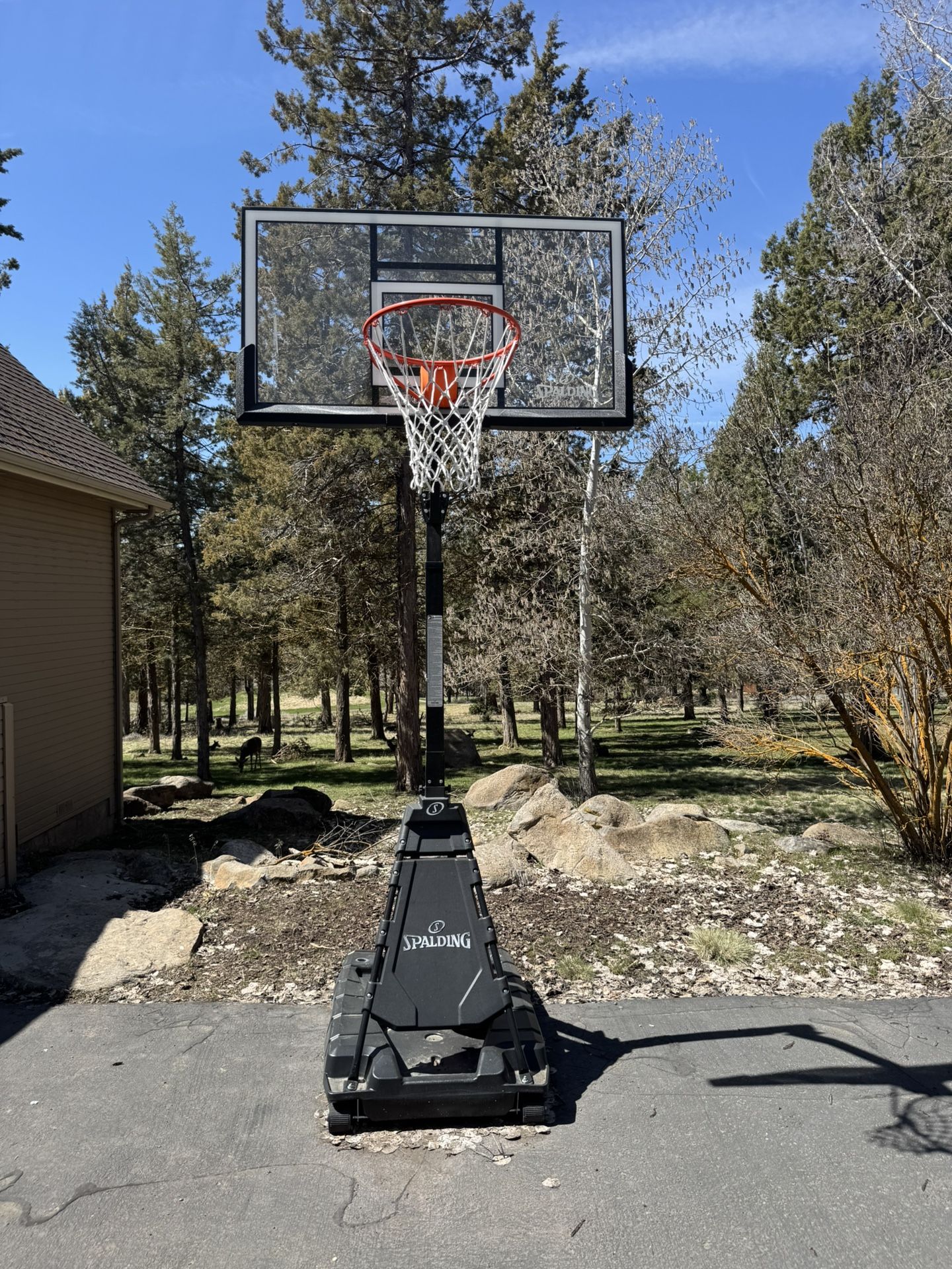 Spalding Momentous EZ Assembly Portable Adjustable Outdoor Basketball Hoop