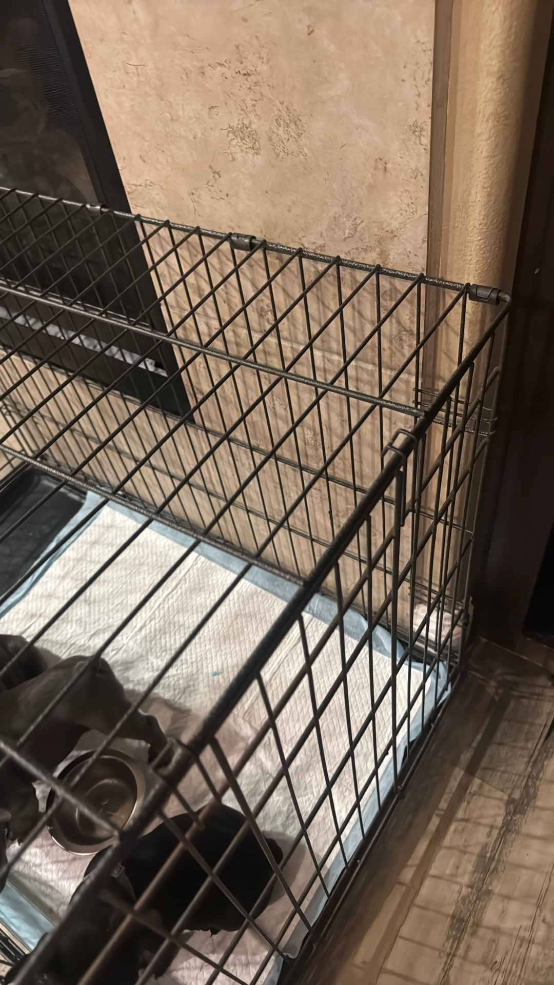 Frenchie Dog crate For Sale
