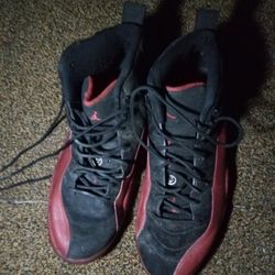 Air Jordan 12 Flu Game 