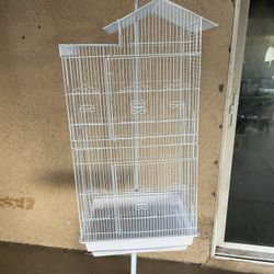 Bird Cage (everything Included)