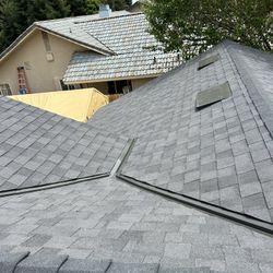 Roof Shingles