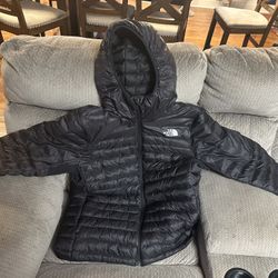 North face Men Terra Peak Hooded Jacket